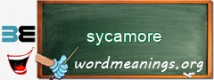 WordMeaning blackboard for sycamore